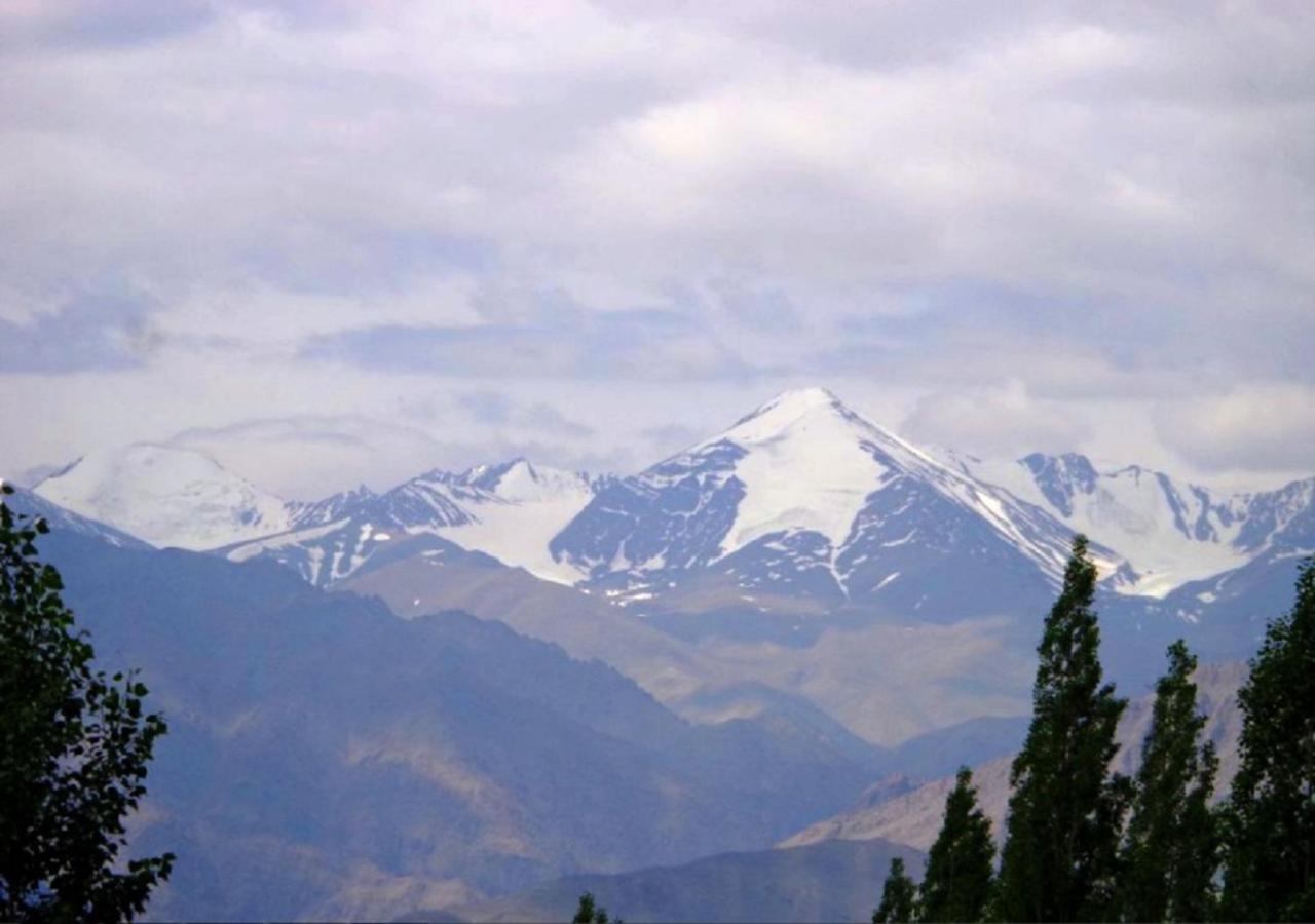 Hotel Ladakh Heaven 레 외부 사진